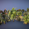 Vibrant Cartoon Scene Showcasing Various Colorful Plants With Diverse Leaves And Flowers