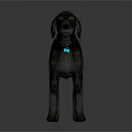 Standing Brown Dog With Black Collar And Blue Tag Against Gray Background