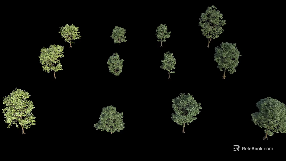 Display of Various Green Trees in Different Sizes Against Black Background 3d model 