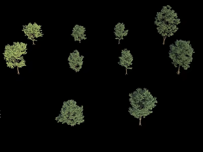 Display of Various Green Trees in Different Sizes Against Black Background 3d model