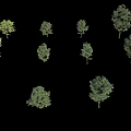 Display of Various Green Trees in Different Sizes Against Black Background