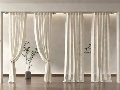 Light Beige Sheer Curtains Hanging In Modern Room With Wooden Floor And Green Plant 3d model