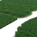 Green Turf With Small Flowers In Various Shapes For Natural Garden Decor