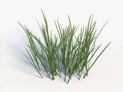 Grass 3d model