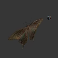 Close Up View Of Butterfly And Colorful Cube On Gray Background Scene
