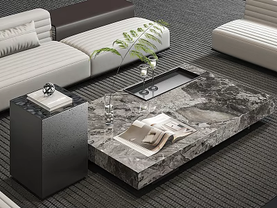Modern Marble Top Coffee Table With Magazine Plant And Sofa In Living Room 3d model