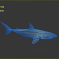 Blue Shark With Metallic Shiny Surface On Grey Gradient Background Showing Reflection 3d model