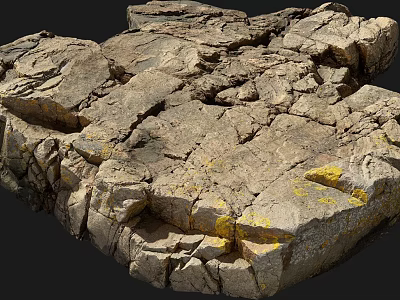 Natural Stone Wood Texture With Rough Cracked Surface And Yellow Spots 3d model