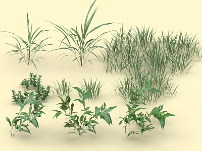 Green Shrubs And Various Herb Plants With Different Leaf Shapes In Natural Garden Setting 3d model