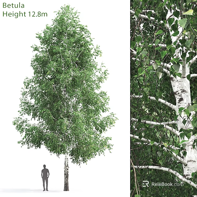 Green Tree Decorative Ornament Set With Lush Branches And Leaves For Home Decor 3d model 