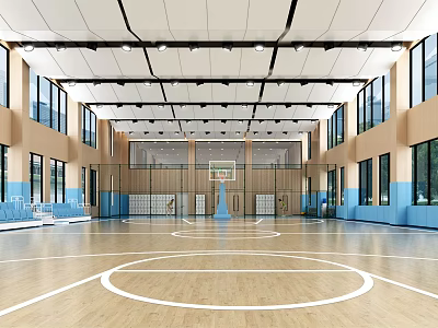 Spacious Modern Basketball Gym With Wooden Floor White Lines And Ceiling Lights 3d model