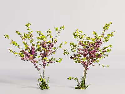 Two Decorative Shrubs With Green Leaves And Purple Flowers In White Background 3d model