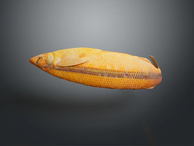 Yellow Fish With Long Body And Scaly Texture On Gray Background 3d model