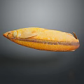 Yellow Fish With Long Body And Scaly Texture On Gray Background 3d model