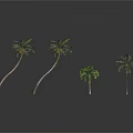 Four Palm Trees Of Various Sizes Against White Background