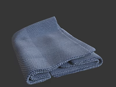 Stylish Blue Woven Carpet With Soft Texture For Modern Home Decor 3d model