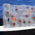 Instagrammable Photo Spot With Ice Cubes Containing Red Roses And Blue Sky Background