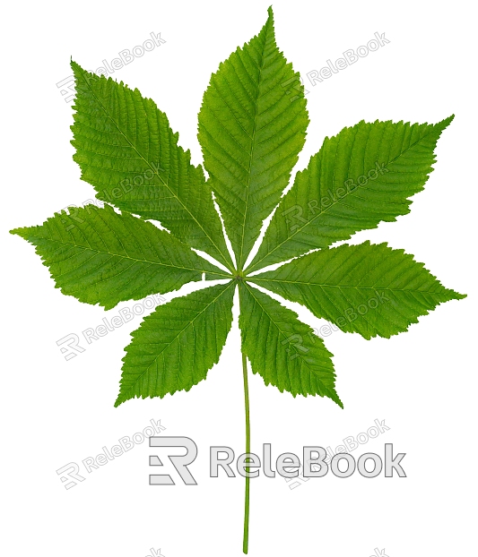 modern leaves leaves model