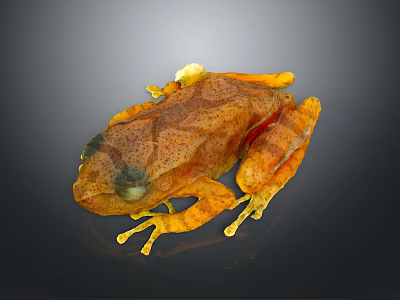 Vibrant Orange Brown Spotted Frog With Yellow Legs And Detailed Body Features On Dark Background 3d model