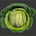 Fresh Cabbage With Vibrant Green Leaves And Crisp Texture On Dark Background