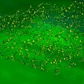 Lush Green Plants With Yellow Flowers And Fresh Leaves In Vibrant Green Background