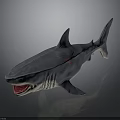 Shark Model With Open Mouth Sharp Teeth And Grey Body Texture