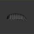 Shiny Dark Blue Pill Bug With Segmented Body Multiple Legs On Reflective Gradient Background 3d model