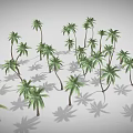 Multiple Palm Trees With Green Fronds And Long Trunks Casting Shadows 3d model