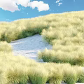 Lush Green And Golden Grass Field With Winding Sandy Path In Natural Scenery