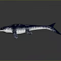 Prehistoric Aquatic Animal with Long Body Flippers and Smooth Skin Texture in 3D Model