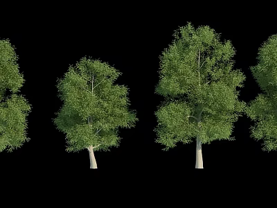 Lush Green Arbor Trees With Dense Foliage And Straight Trunks In Various Sizes 3d model