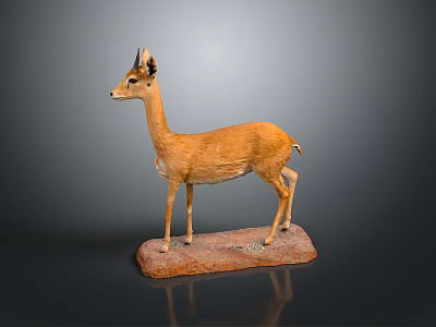 Realistic Lifelike Antelope Specimen Display With Natural Brown Fur And Rock Base 3d model
