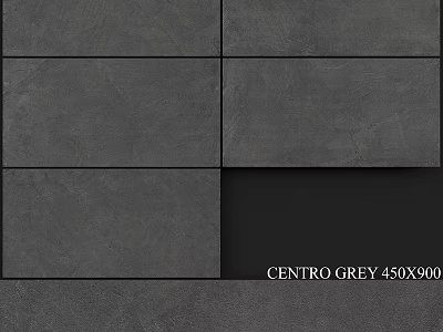 Centro Grey Tiles 450x900mm for Modern Interior Wall and Floor Decoration 3d model