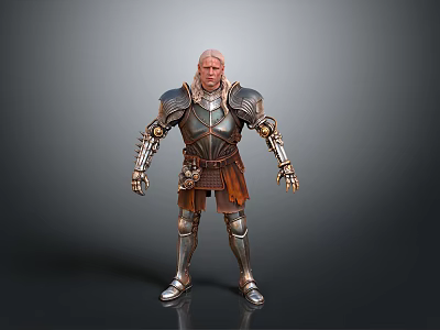 Standing Warrior Character in Silver Armor with Golden Accents Brown Tunic 3d model