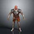 Standing Warrior Character in Silver Armor with Golden Accents Brown Tunic