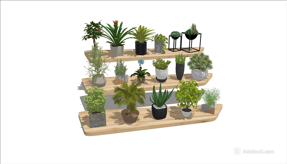 Bonsai Potted Plants Display On Wooden Multi Layer Shelves With Various Greenery 3d model 