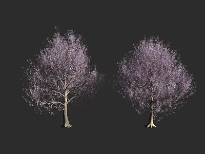 Two Arbor Trees With Purple Flowers And Lush Branches On Dark Background 3d model