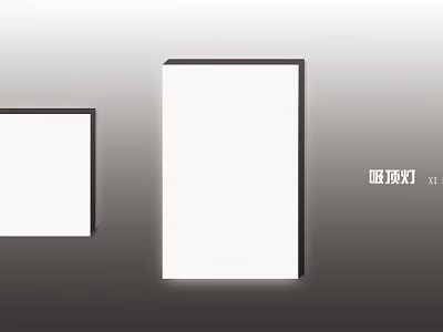 Modern Flush Mount Ceiling Light With White Panel Black Frame And Different Sizes Design 3d model