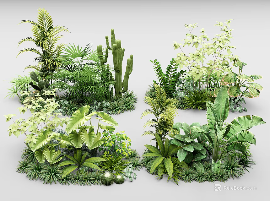Lush Assorted Tropical Green Plants With Diverse Foliage And Leaf Shapes 3d model 