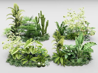 Lush Assorted Tropical Green Plants With Diverse Foliage And Leaf Shapes 3d model