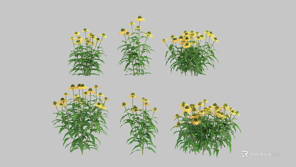 Yellow Flowering Plants With Green Leaves In Various Clusters For Garden 3d model 