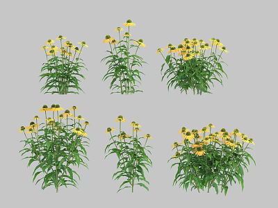 Yellow Flowering Plants With Green Leaves In Various Clusters For Garden 3d model