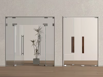 Clear Glass Double Doors In Modern Interior With Metal Handles And Potted Plant 3d model