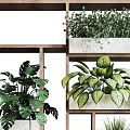 Indoor Vertical Garden Decor With Multi Tiered Wooden Shelves And Green Plants