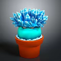 Crystal Like Blue Succulent Plant In Orange Terracotta Pot With White Base