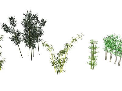 Different Types Of Bamboo Plants Showing Various Growth Patterns And Leaf Sizes 3d model