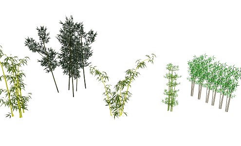 Modern bamboo 3d model