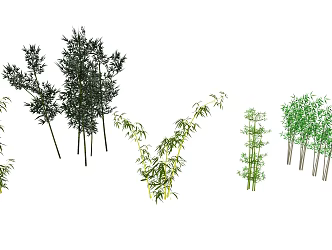 Modern bamboo 3d model