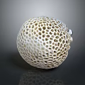White Sea Urchin Test Showing Intricate Honeycomb Structure On Gray Gradient Surface 3d model