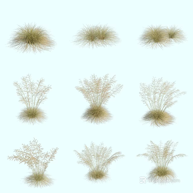 Assorted Natural Green Grass Plants With Different Shapes Against White Background 3d model 